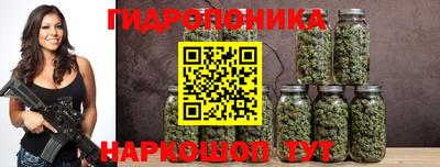 PSILOCYBIN Гатчина