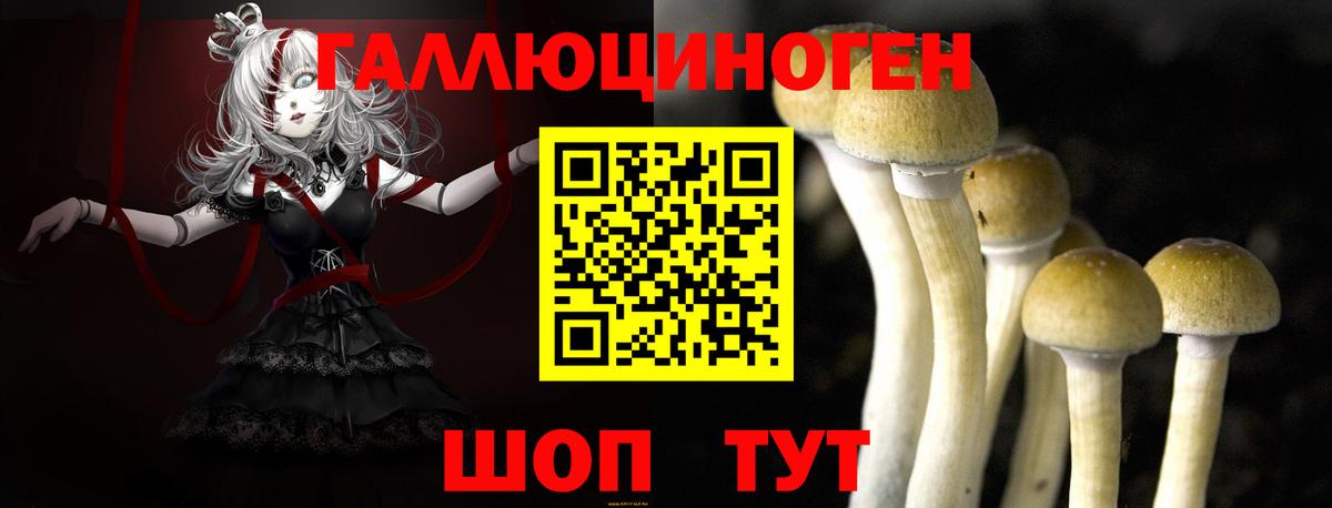 Псилоцибиновые грибы Cubensis  Вход с VPN  Междуреченск  Галлюциногенные грибы ЛСД 